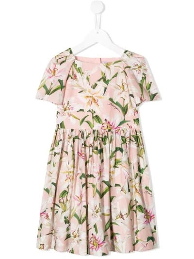 Dolce gabbana lily clearance dress