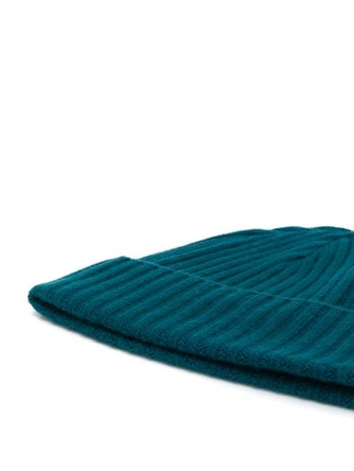 Shop N•peal Chunky Ribbed Hat In Green