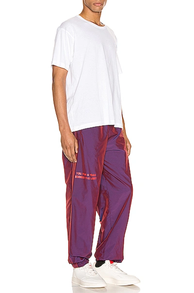 Shop Adidas Originals By Alexander Wang 2t Pants