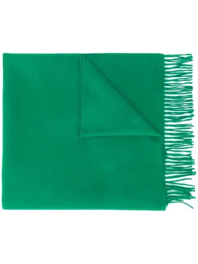 Shop Begg & Co Fringed Cashmere Scarf In Green