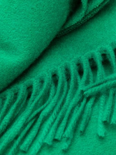 Shop Begg & Co Fringed Cashmere Scarf In Green