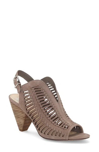 Shop Vince Camuto Earinan Sandal In Elephant Leather