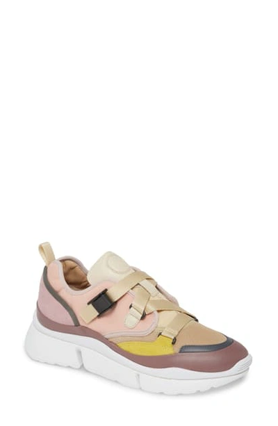 Shop Chloé Sonnie Low Top Sneaker In Pink Lavender