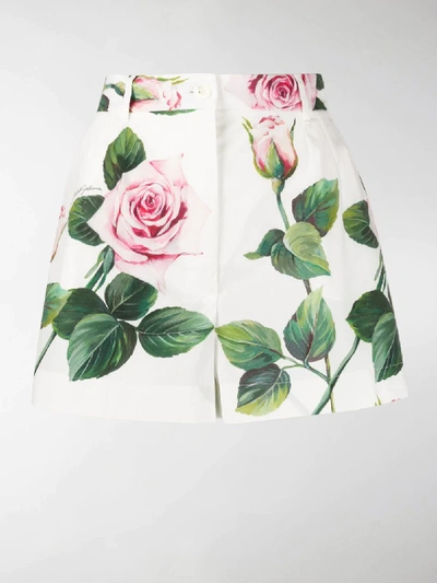 Shop Dolce & Gabbana Rose Print Shorts In White