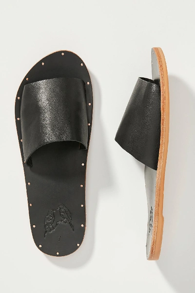 Shop Beek Mockingbird Slide Sandals In Black