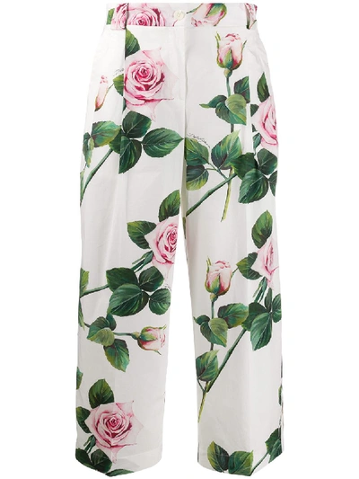 Shop Dolce & Gabbana Pant Rose In C Rosa Fdo Panna