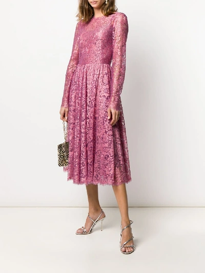 Shop Dolce & Gabbana Dress In Fucsia Medio