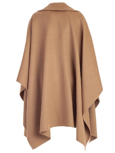 Shop Max Mara Eureka Cape In Neutrals