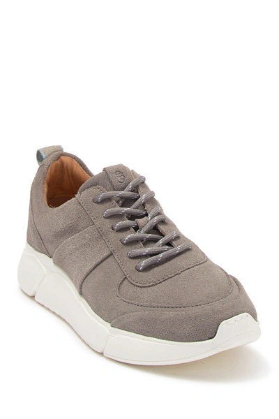Shop Shoe The Bear Salonga Suede Sneaker In Grey