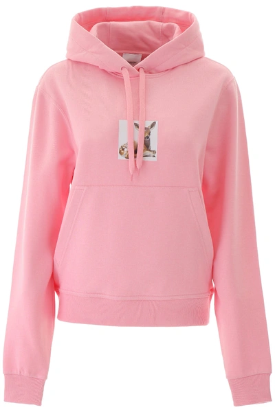 Shop Burberry Junnies Hoodie In Candy Pink (pink)