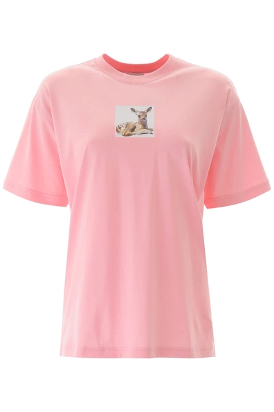 Shop Burberry Deer Print T-shirt In Candy Pink (pink)