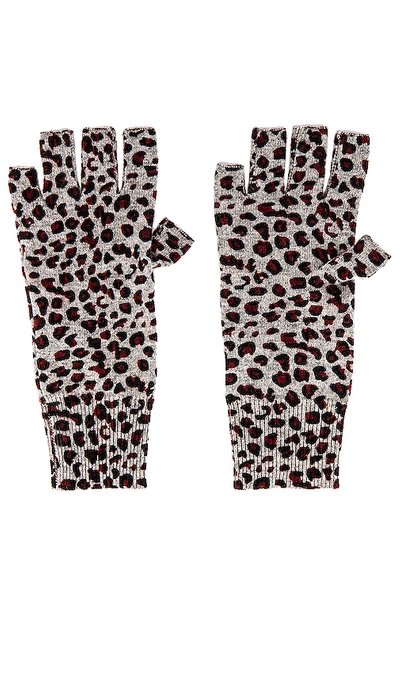 Shop Autumn Cashmere Leopard Print Gloves In Sweatshirt Combo