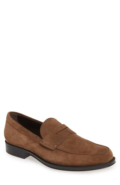 Shop Tod's Penny Loafer In Light Brown Suede