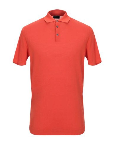 Shop Drumohr Polo Shirt In Orange