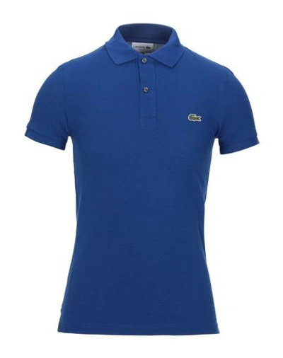Shop Lacoste Man Polo Shirt Blue Size 2 Cotton