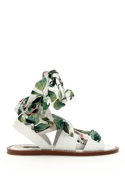 Shop Dolce & Gabbana Rose Portofino Flat Sandals In White,pink,green