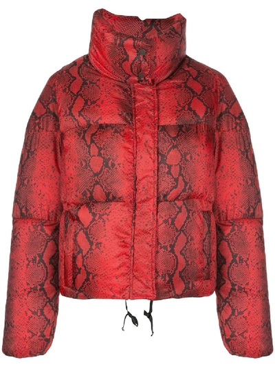 Shop Apparis Jamie Puffer Jacket In Red