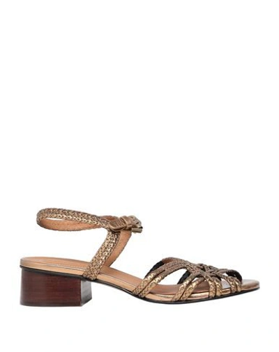 Shop See By Chloé Woman Sandals Bronze Size 7 Calfskin In Yellow