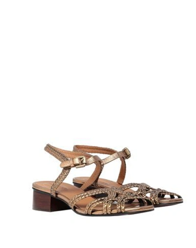 Shop See By Chloé Woman Sandals Bronze Size 7 Calfskin In Yellow