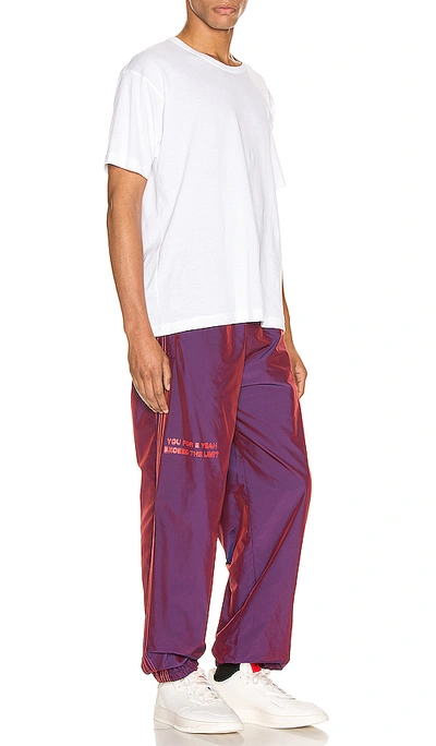 Shop Adidas Originals By Alexander Wang 2t Pants In Multi