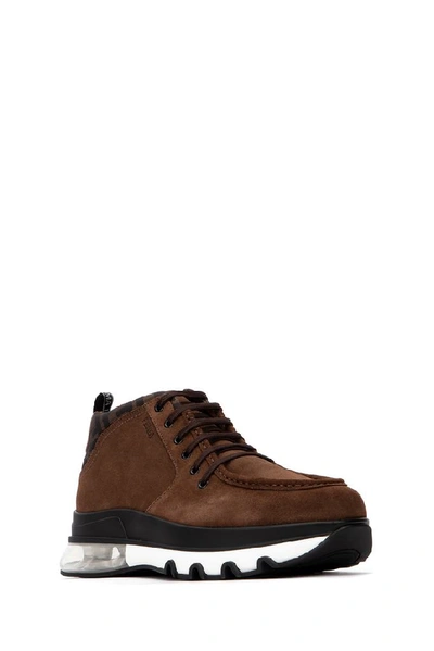Shop Fendi Lace Up Sneakers In Brown