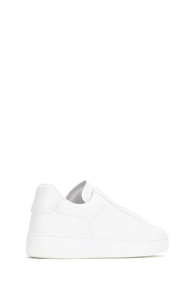 Shop Bottega Veneta Low Top Sneakers In White