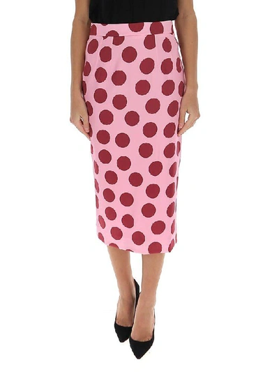 Shop Dolce & Gabbana Polka Dot Midi Skirt In Pink