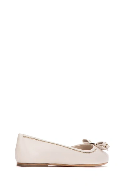 Shop Ferragamo Salvatore  Varina Ballerinas In Bone