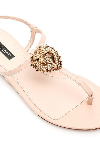Shop Dolce & Gabbana Devotion T In Pink