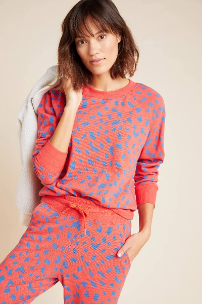 Shop Sundry Spotted Sweatshirt In Red