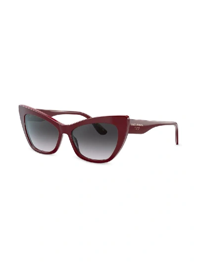 Shop Dolce & Gabbana Cat Eye Frame Sunglasses In Red