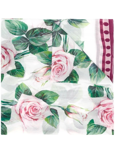 Shop Dolce & Gabbana Rose Scarf In White