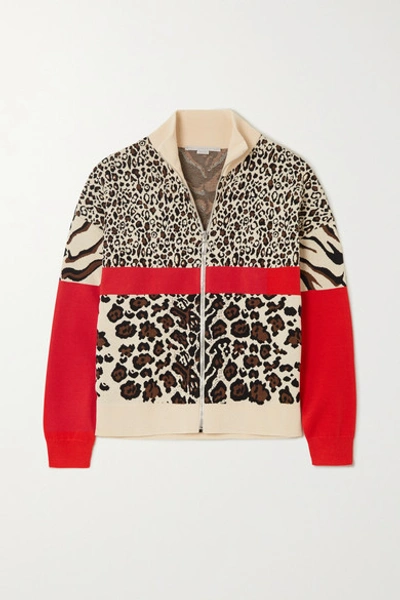 Shop Stella Mccartney Intarsia Knitted Track Jacket In Leopard Print
