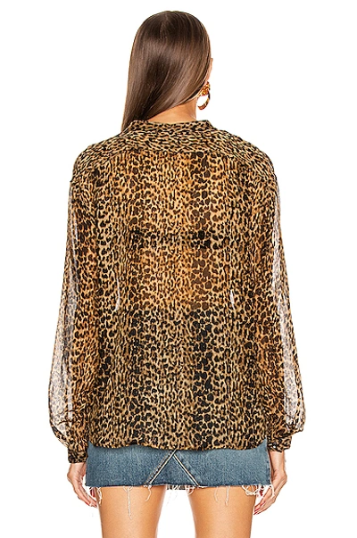 Shop Saint Laurent Long Sleeve Top In Leopard