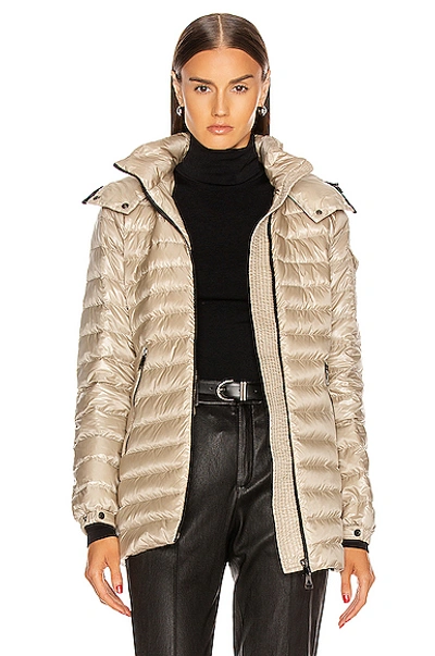 Shop Moncler Menthe Giubbotto Jacket In Champagne