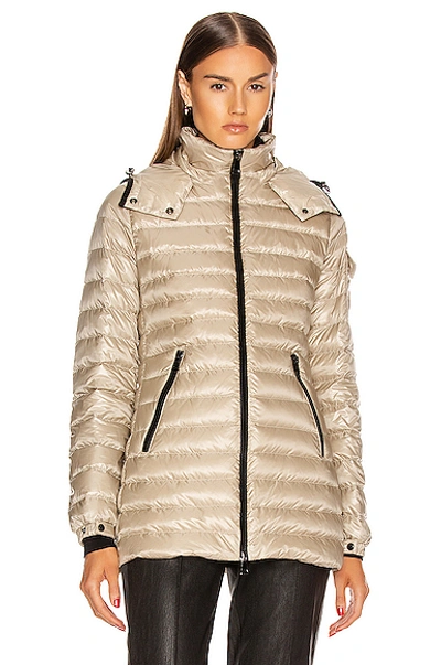 Shop Moncler Menthe Giubbotto Jacket In Champagne