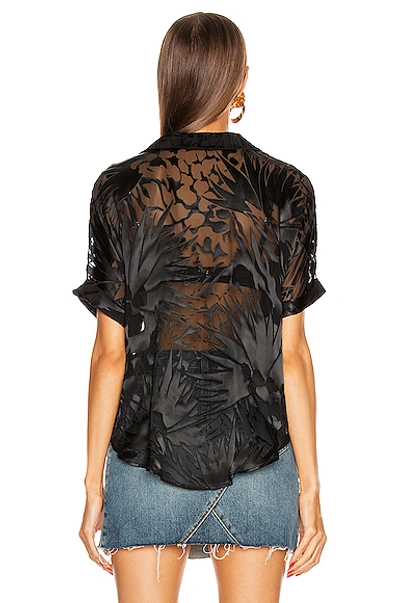 Shop Saint Laurent Jungle Flower Short Sleeve Top In Black