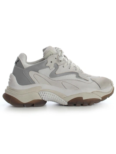 Shop Ash Sneakers Nubuck In White Reflex Silver