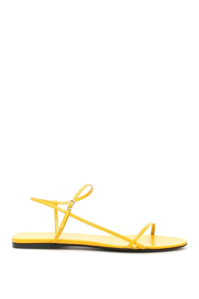 Shop The Row Bare Sandals Flat In Mustard (yellow)