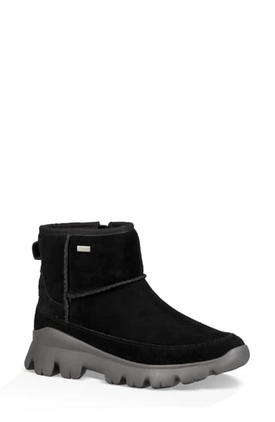 Ugg Women's Palomar Leather Sneaker Booties In Black/ Charcoal Suede |  ModeSens