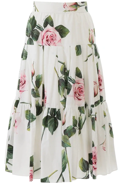 Shop Dolce & Gabbana Tropical Rose Layered Skirt In White,pink,green