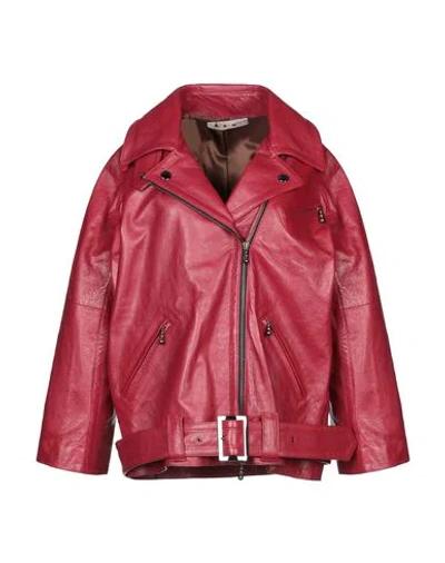 Shop Marni Biker Jacket In Maroon