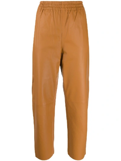 Shop Pinko Toast Leather Pant In Marrone Terra D`africa