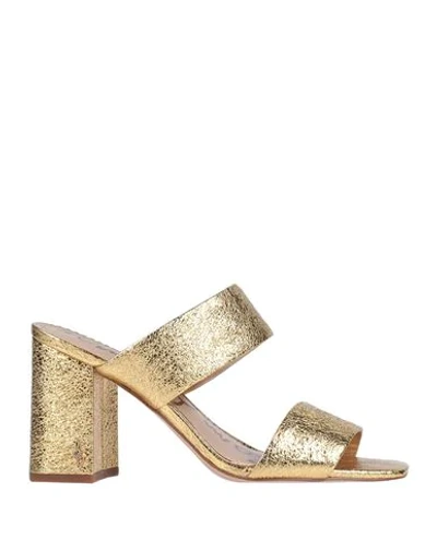 Shop Sam Edelman Woman Sandals Gold Size 6 Soft Leather