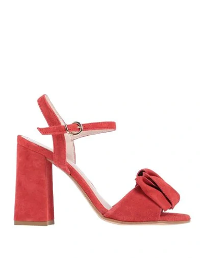 Shop Cesare Paciotti Sandals In Brick Red