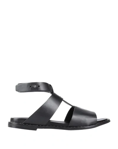 Shop Alberto Guardiani Sandals In Black