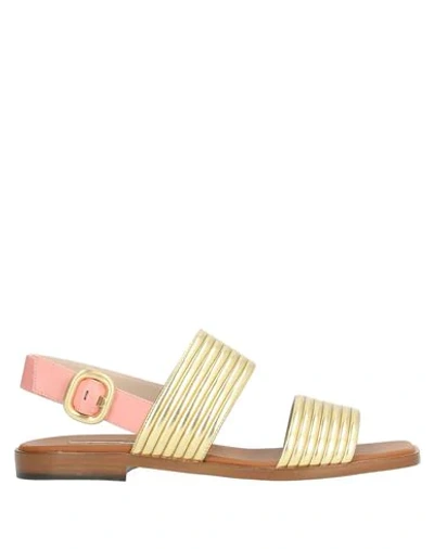 Shop Alberto Gozzi Sandals In Gold