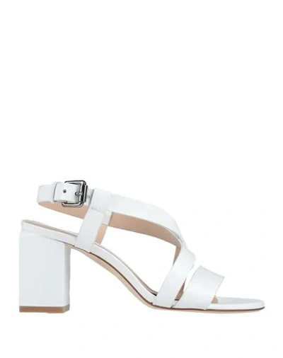 Shop Deimille Sandals In White