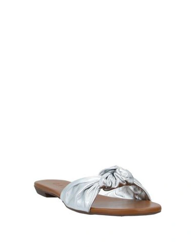 Shop Carrano Sandals In Silver