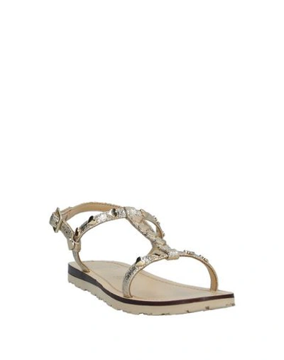 Shop Love Moschino Sandals In Platinum